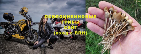 винт Козловка