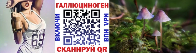Галлюциногенные грибы MAGIC MUSHROOMS Купить где Краснотурьинск